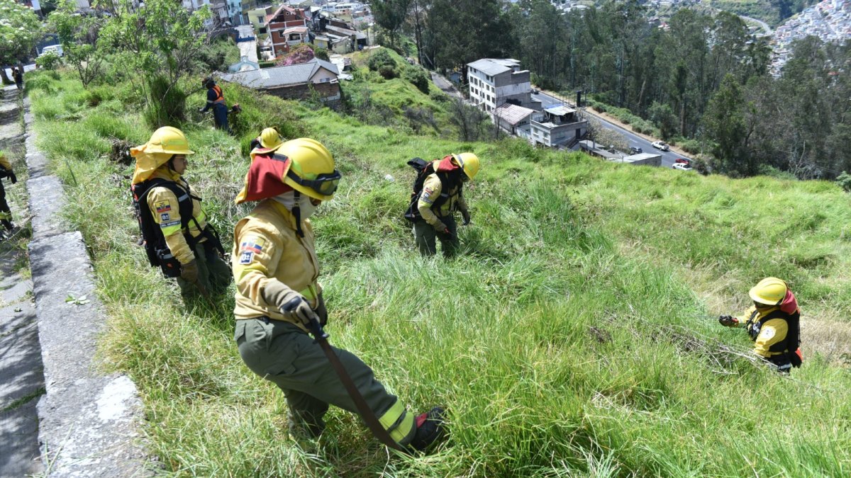 Son 1.200 Bomberos que se están desplegando para los trabajos de limpieza y lineas de contención.