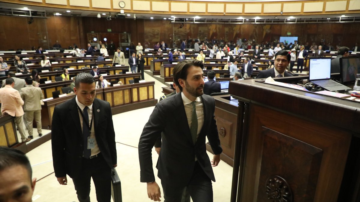 El asambleísta del oficialismo, Niels Olsen, preside la Asamblea Nacional del Ecuador.