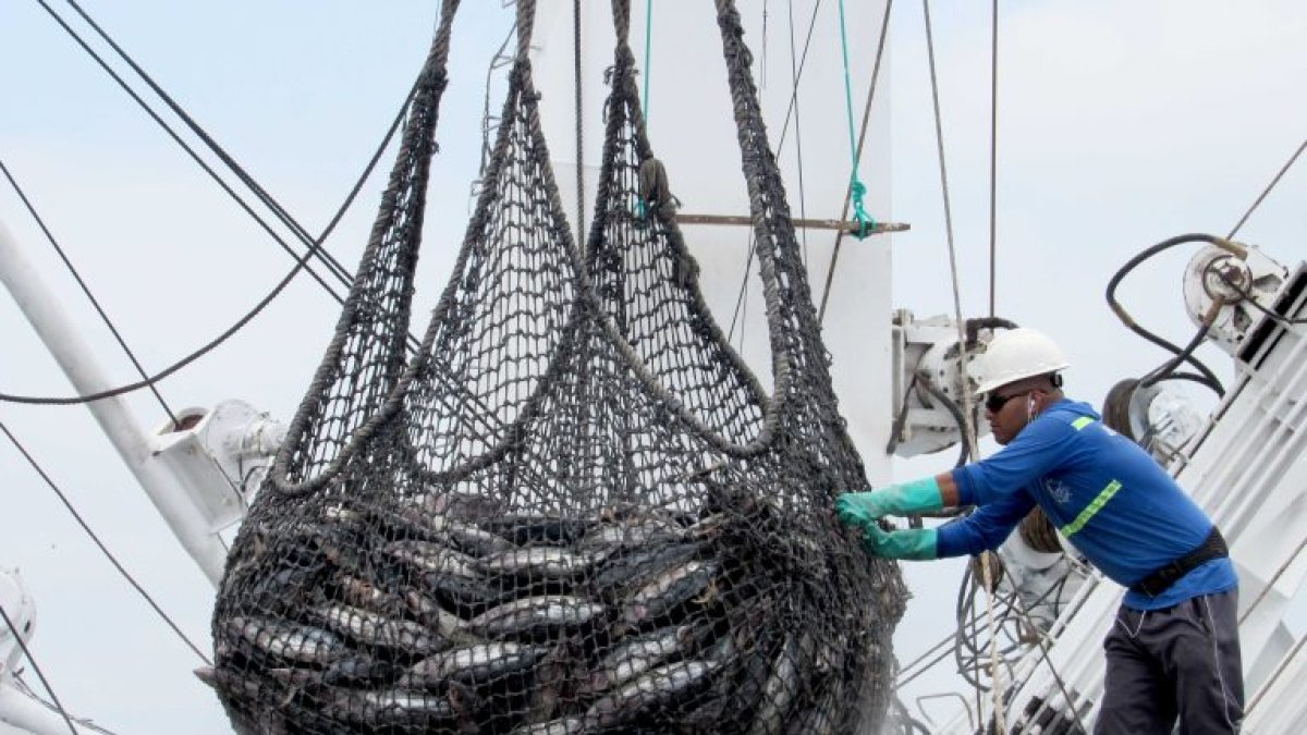 Tunacons, pionero en el uso de “plantados” ecológicos para una pesca de atún más responsable.