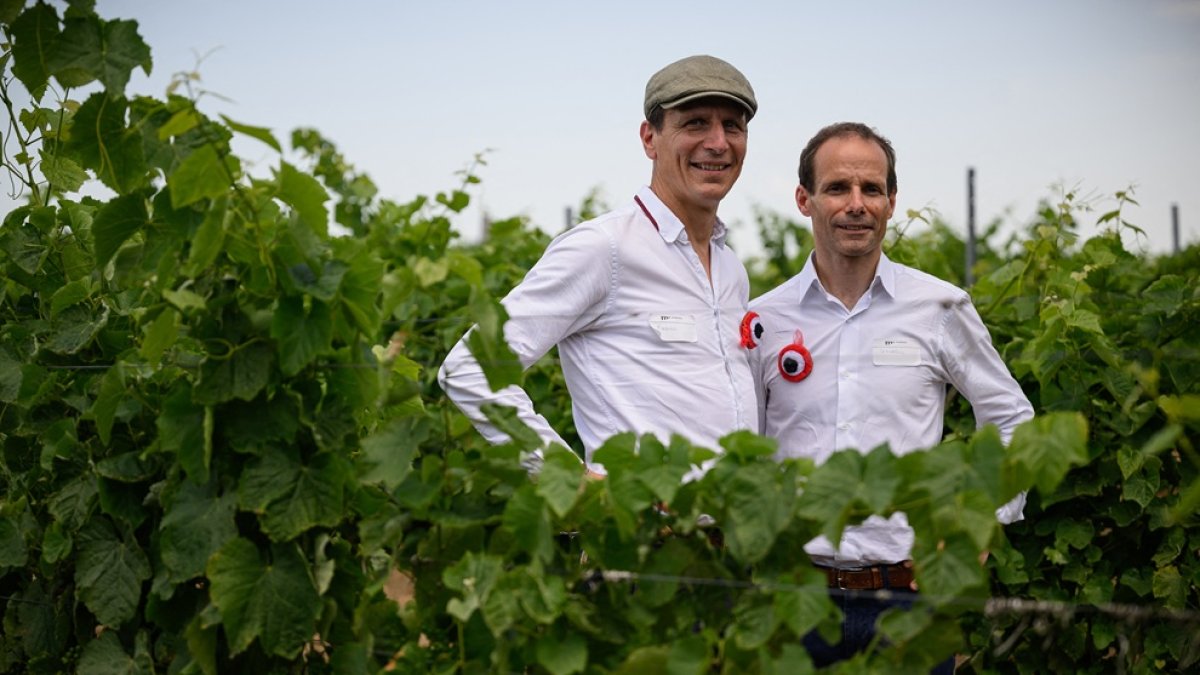 Fabien Marchand-Cassagne (izq.) y Sébastien Thomas, fundadores de la start-up Moderato, posan en un viñedo en el suroeste de Francia.
