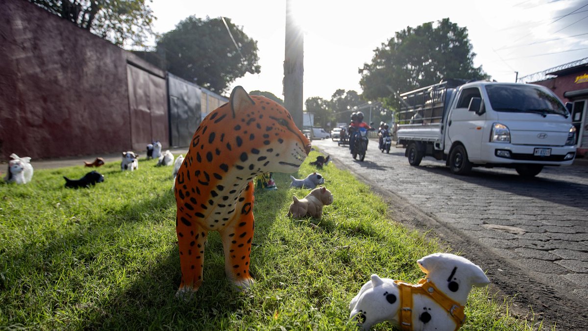 Vista general de varias alcancías de vistosos colores y con forma de animales y personajes de caricaturas, en una calle de Managua (Nicaragua).