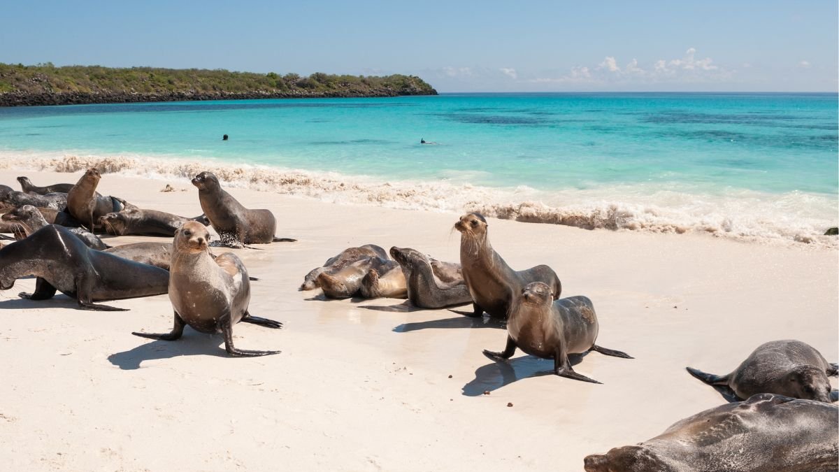 Referencial. Autoridades de Galápagos declaran estado de advertencia y piden extremar precauciones