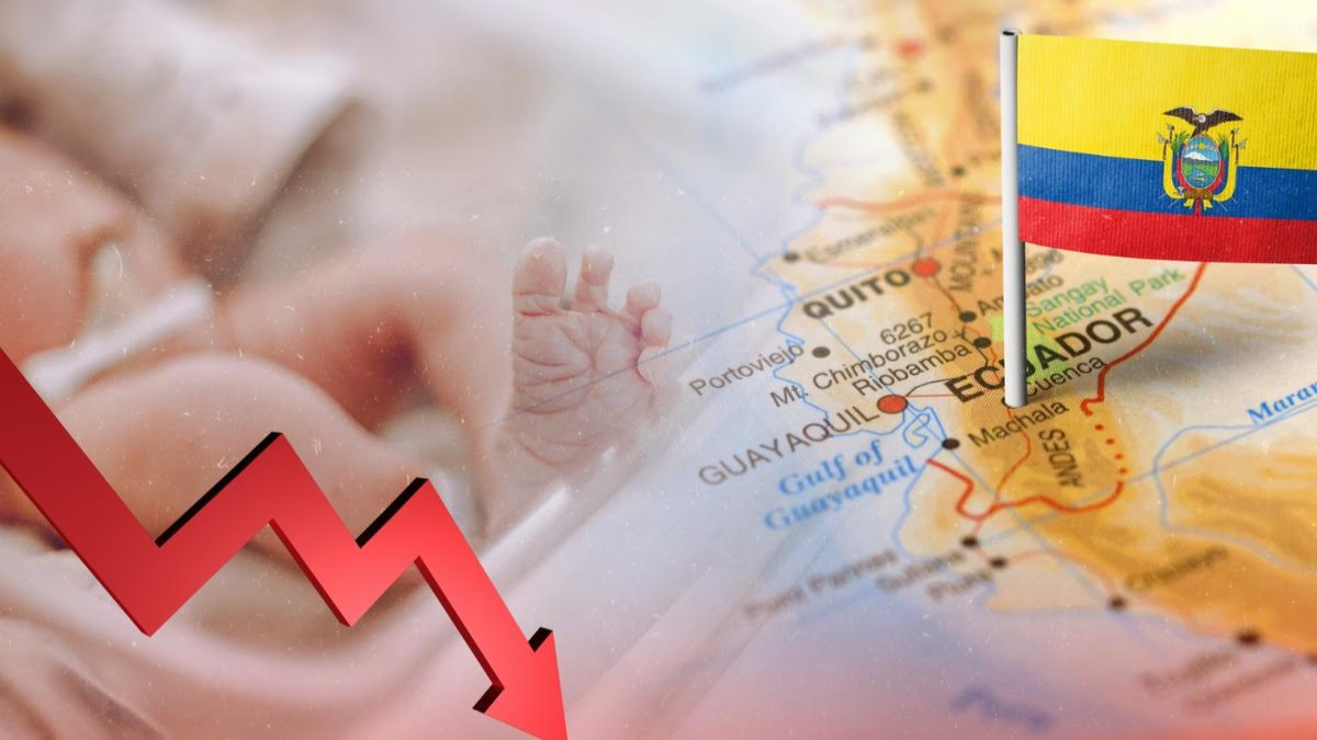 El INEC presentó cifras que muestran caída en la natalidad en el 2024, mayor que en las últimas tres décadas.