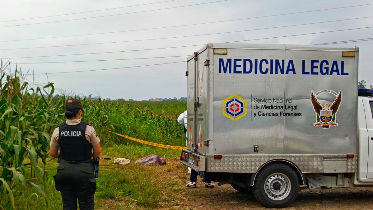 Cuerpos fueron encontrados desmembrados en sacos.