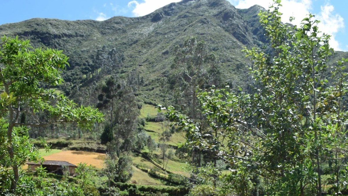 Senderos ecológicos, avistamiento de aves y turismo comunitario son algunas de las ofertas de la región.