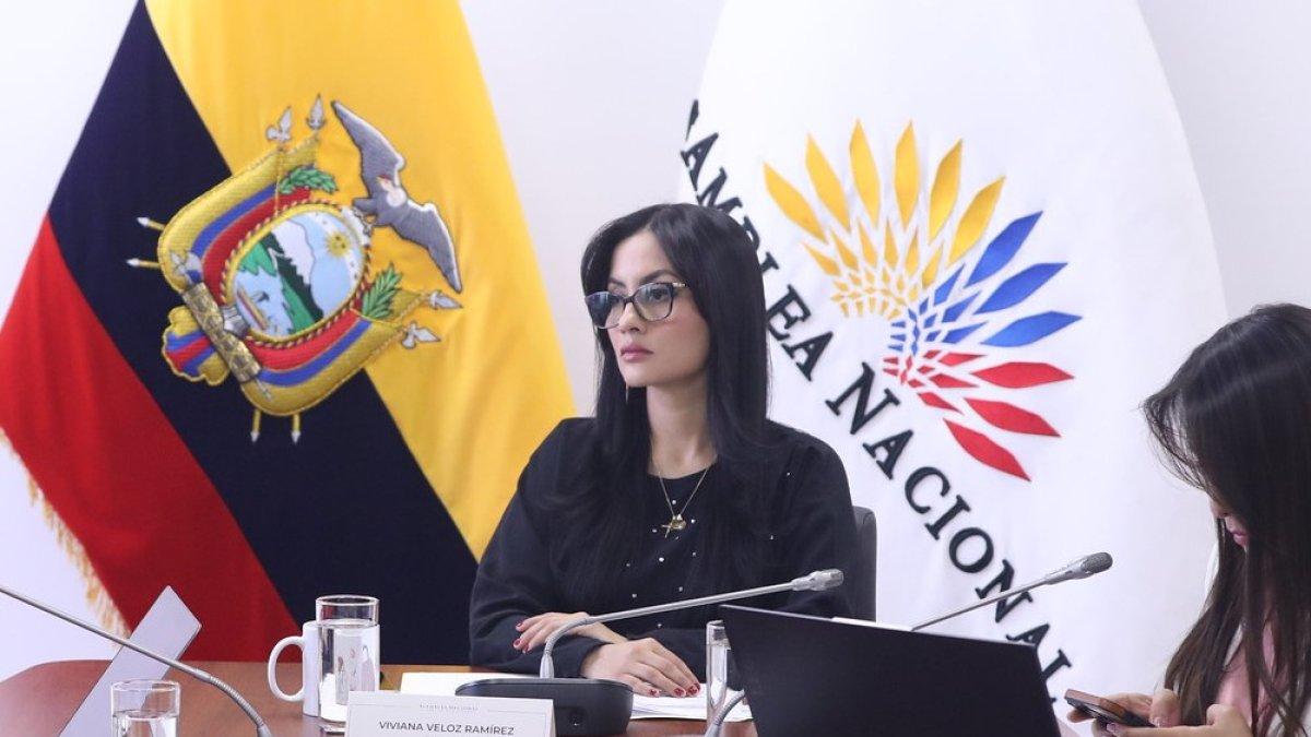 Viviana Veloz fue presidenta de la Asamblea Nacional en el periodo pasado y es la actual jefa del bloque correísta.