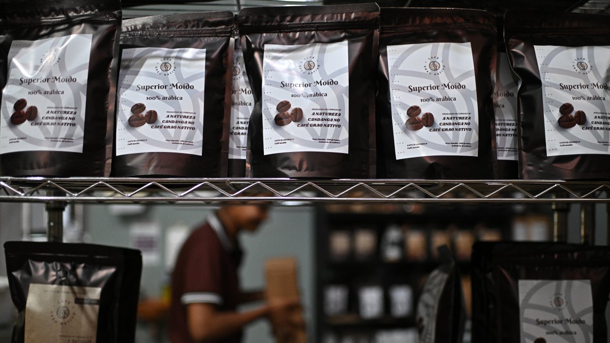 Una mujer trabaja en la clasificación de granos en una plantación de café. Brasil pagará 50 % de arancel a Estados Unidos