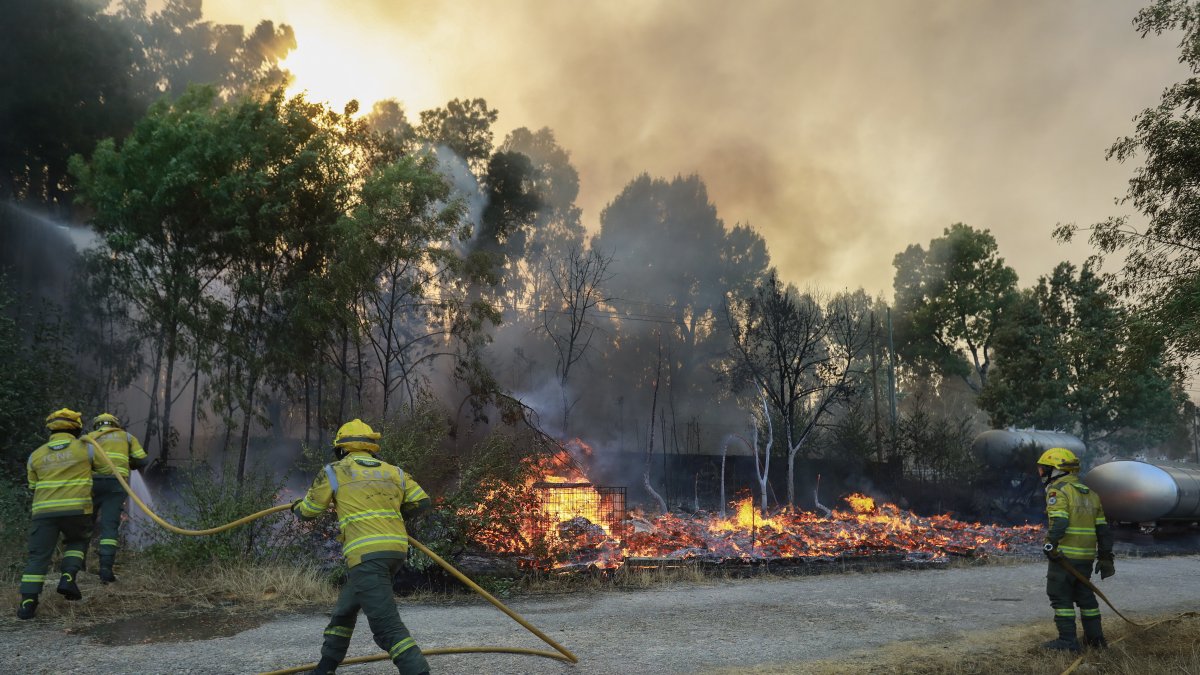 Portugal sufre de una ola de incendios.