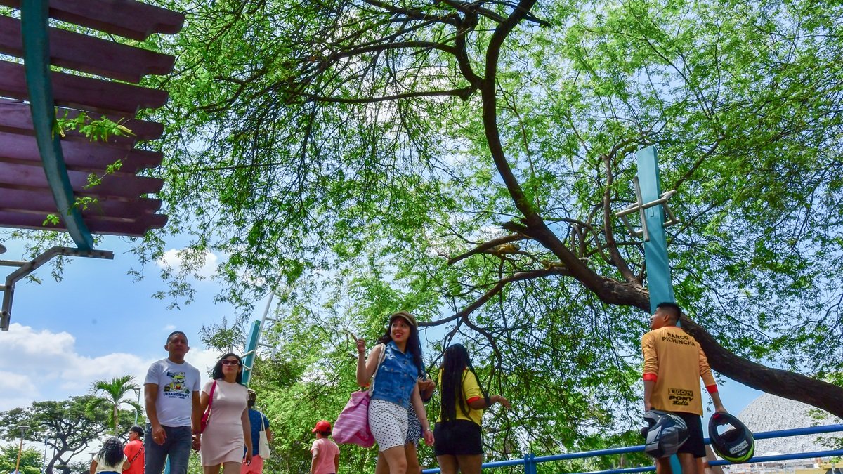 Espacios. Las familias realizan diversas actividades en el parque Forestal (sur de Guayaquil) los fines de semana, en los que se evidencia un mayor dinamismo.