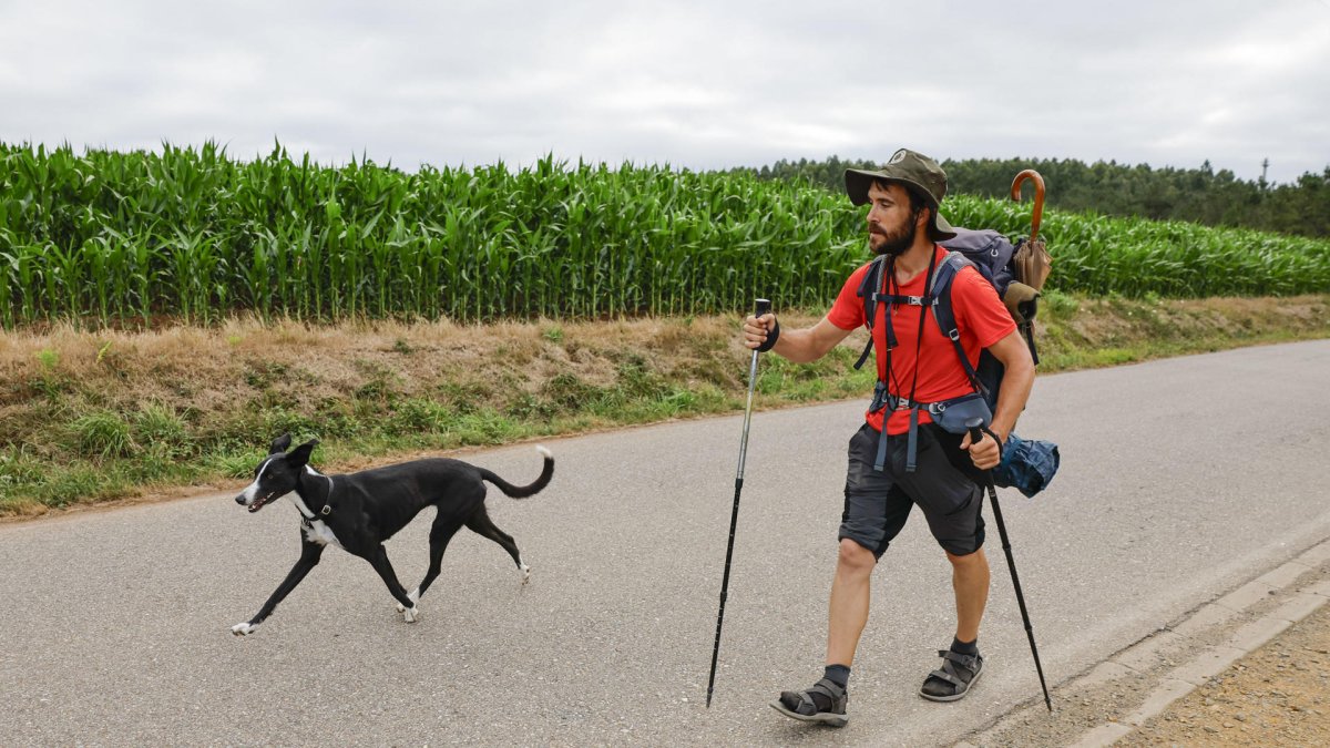 Adrián y su perrita Laika llegan a Santiago tras veinte días caminando.