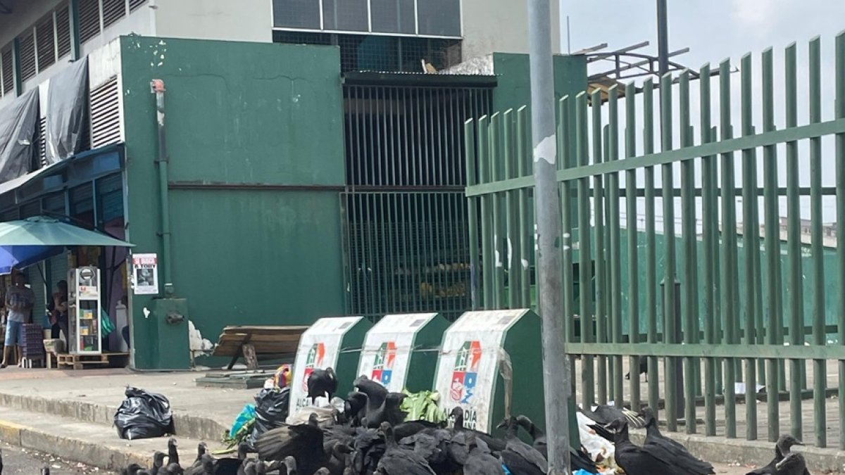 La basura se acumula en un área del Malecón de Quevedo, cerca al Mercado del Río.