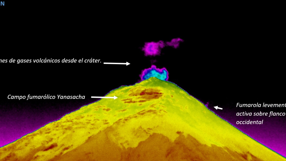 Uno de los signos detectados fue una fumarola en el flanco occidental.