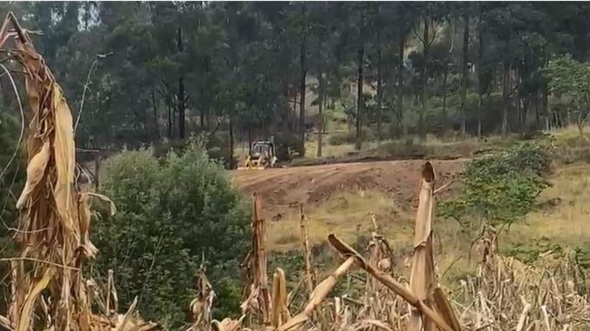 Hecho. Los vecinos captaron a la maquinaria en medio de la vegetación.