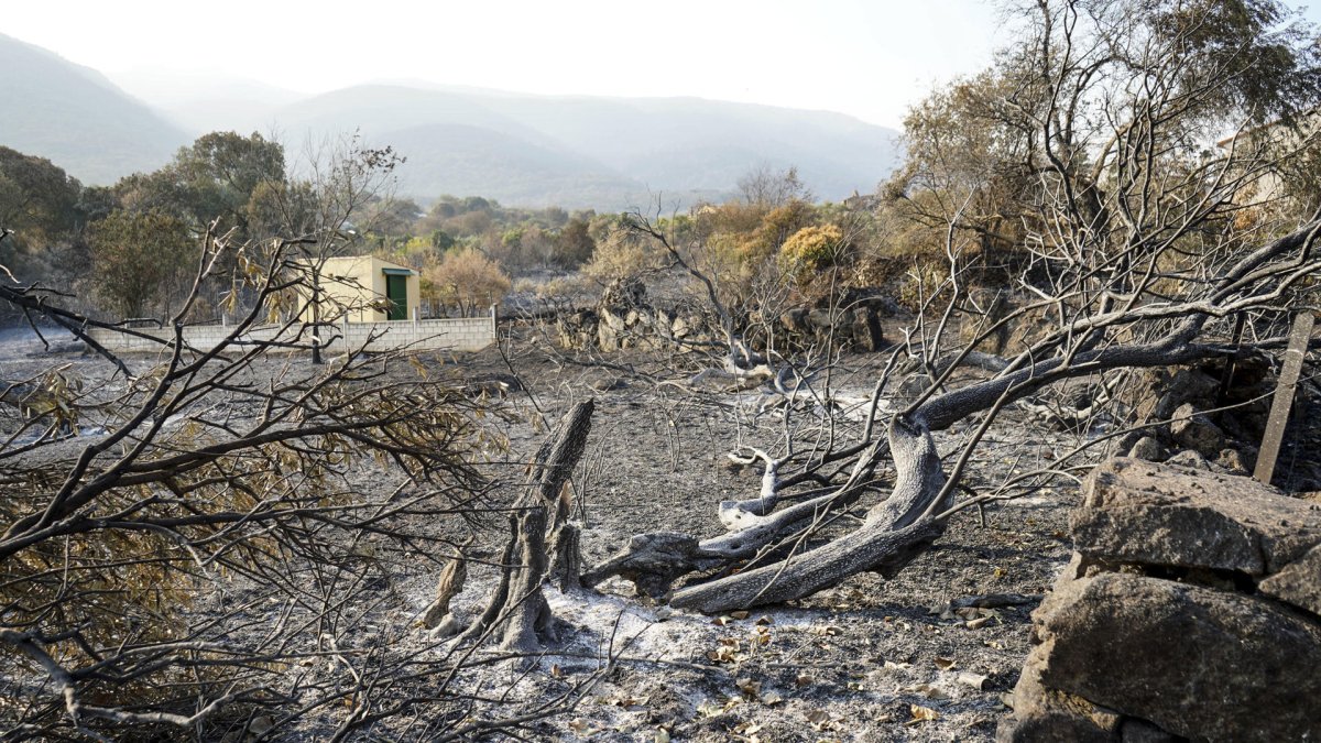 Área quemada en el municipio de Jarilla, en España, este miércoles 20 de agosto de 2025.
