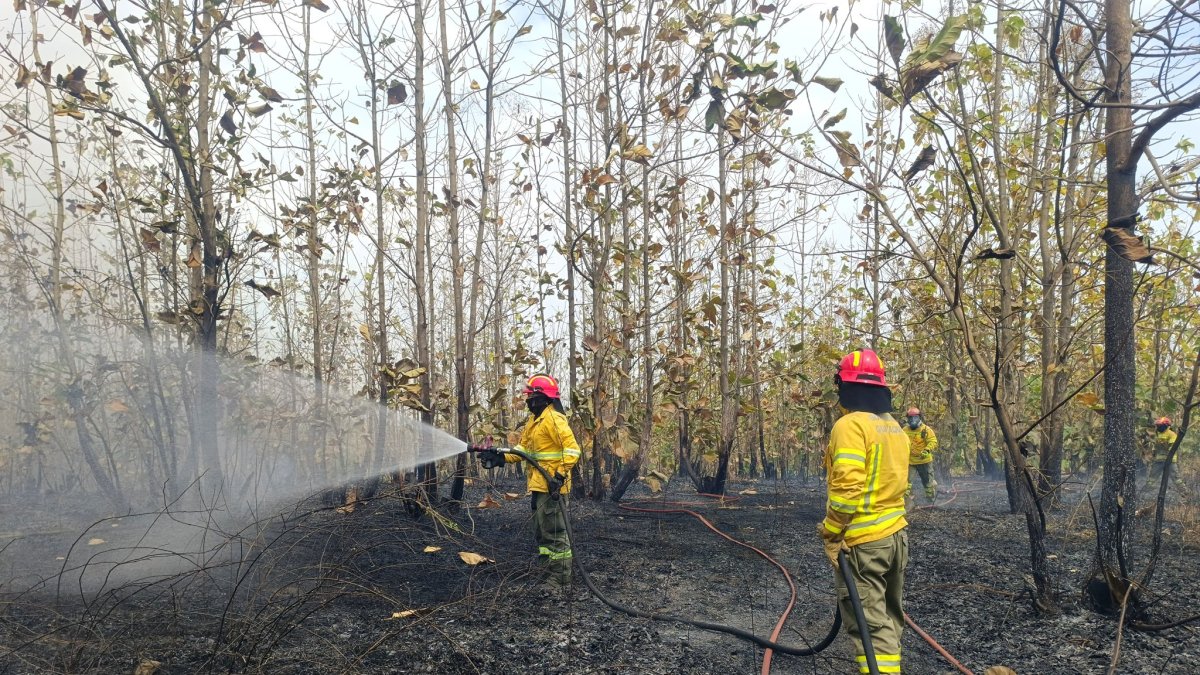 Incendio en Ciudad Victoria 1
