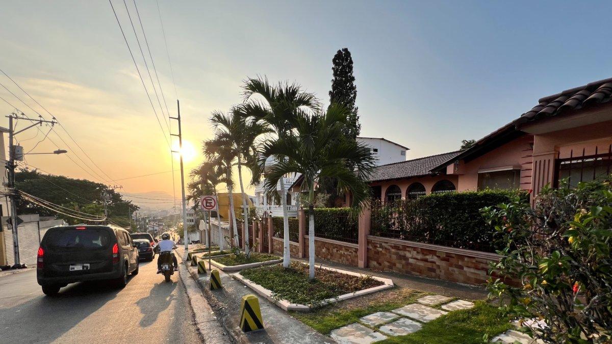 En el sector de Lomas de Urdesa se observan fachadas con vegetación, pero no es un panorama común en Guayaquil.