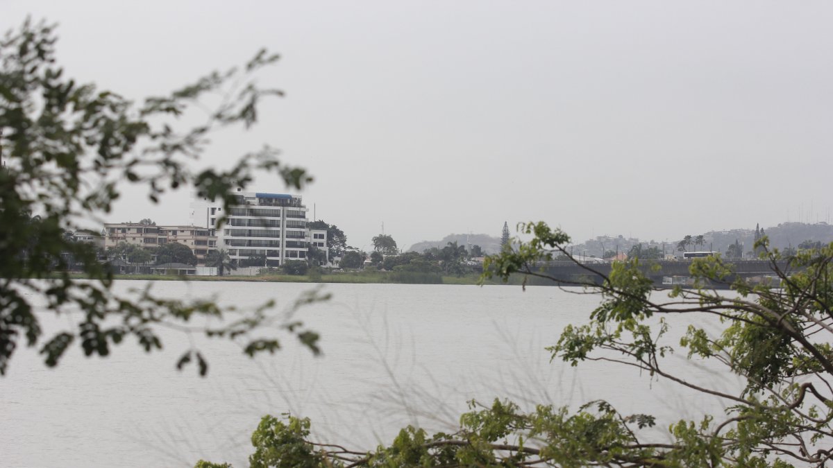 La cuenca del río Guayas se compone del río Daule y el Babahoyo.