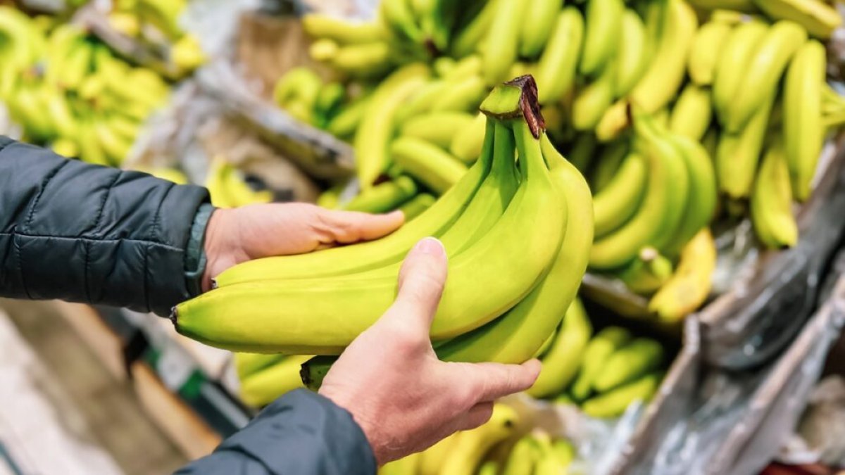 Exportaciones de banano ecuatoriano a China se multiplican.
