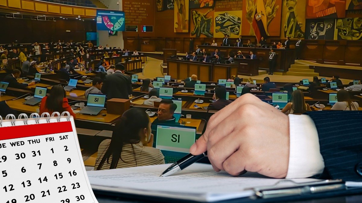 Entre lo más característico de los 100 primeros días de la Asamblea Nacional es que cuatro de las normativas aprobadas enfrentan demandas de inconstitucionalidad.