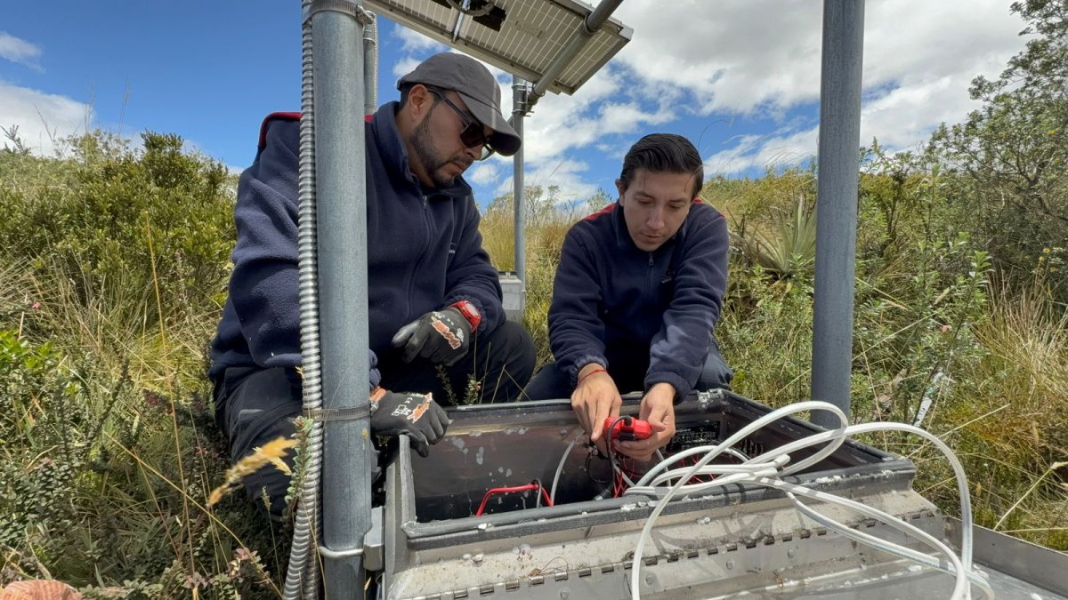 El monitoreo se realiza en campo para verificar el estado de las estaciones de vigilancia.