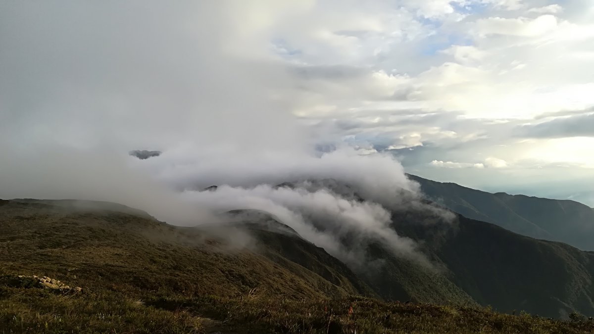 Parque. Parte del Parque Nacional Podocarpus, en Zamora Chinchipe.