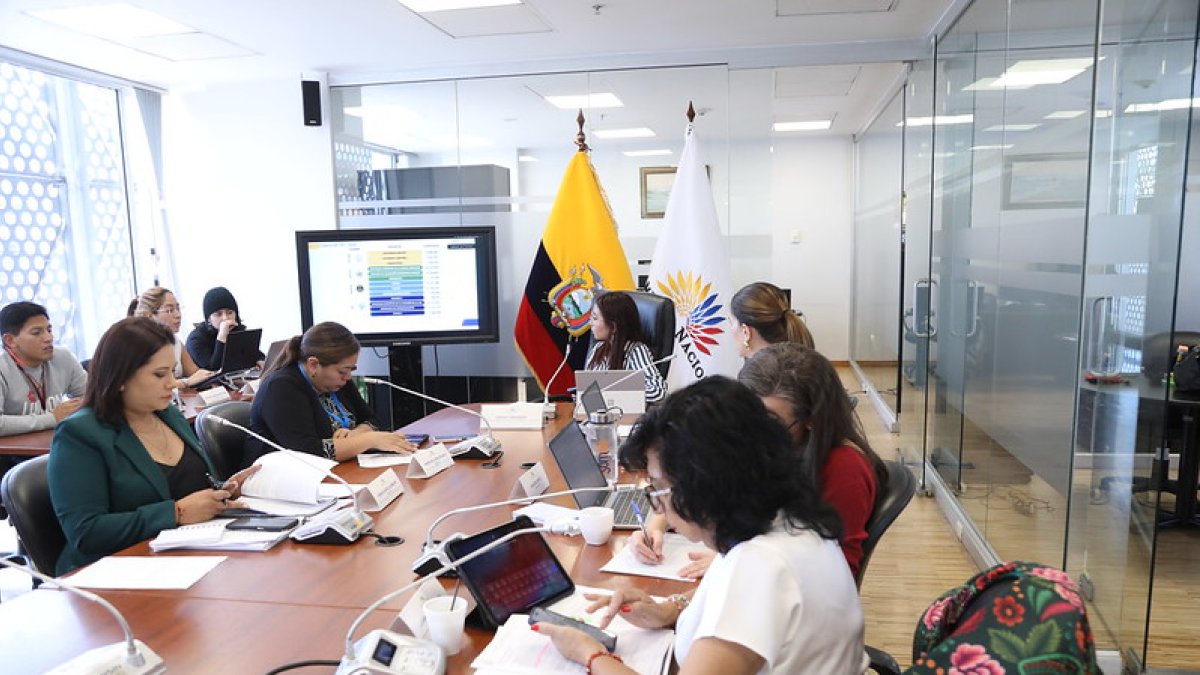 De manera telemática, delegados de los ministerios de Defensa y del Interior comparecieron de manera telemática ante la Comisión de Régimen Económico, Tributario, su Regulación y Control.