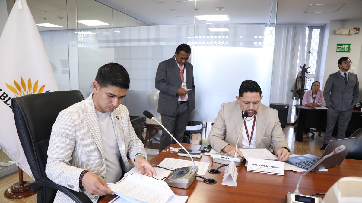 La mesa de Garantías Constitucionales es presidida por Jaime Estrada, del correísmo.