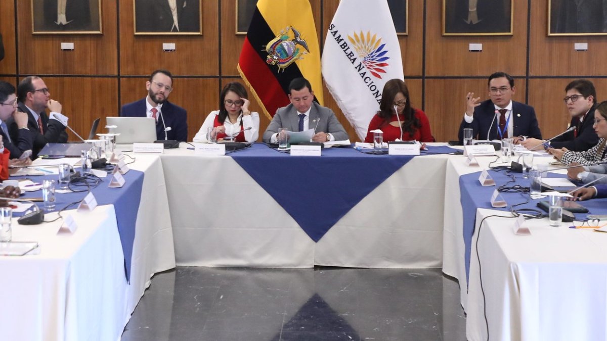 Gonzalo Albán, vocal del Consejo de Participación, enfrentó al asambleísta oficialista, Keevin Gallardo, en el juicio político que el legislador planteó.