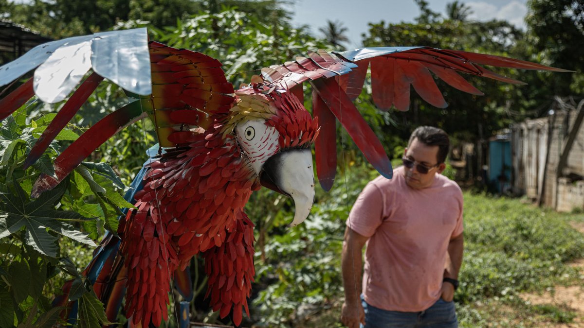 Yhorby Ventura observando una escultura de una guacamaya, en Maracaibo (Venezuela).
