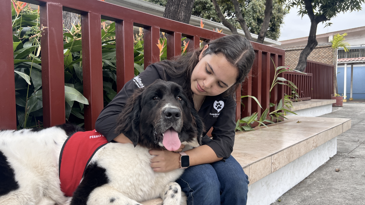 Con juegos, caminatas y afecto, estos perros se han convertido en aliados clave para la salud mental de jóvenes y adultos en Guayaquil.