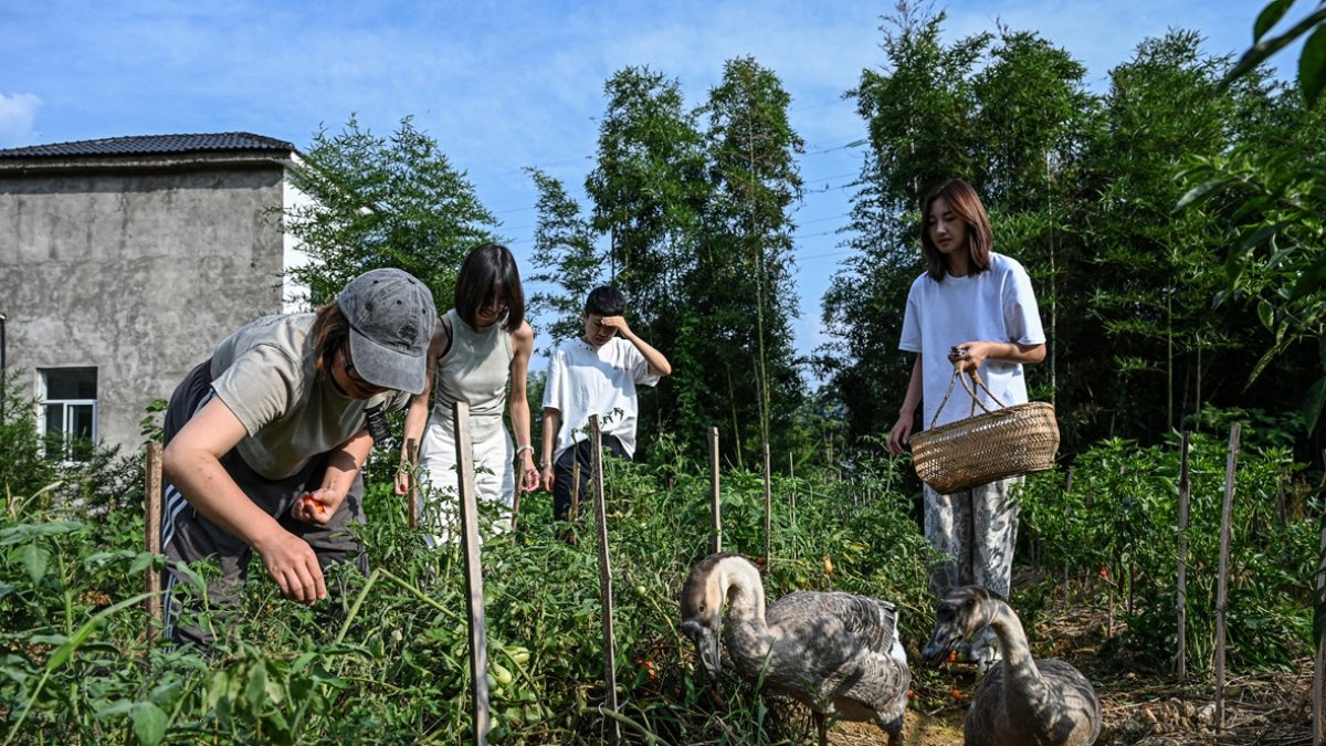 Chen Yani (der.), recoge chiles con amigas e invitadas en una granja de un espacio de convivencia femenina llamado
