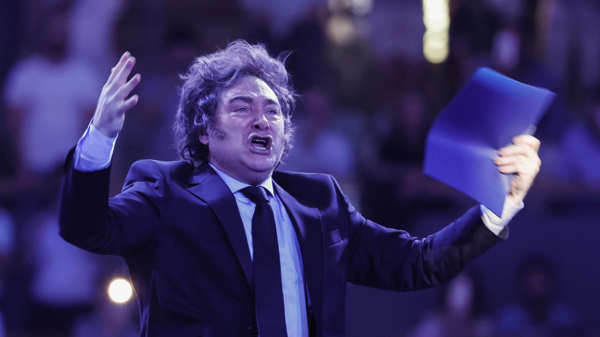 Fotografía del presidente Javier Milei.