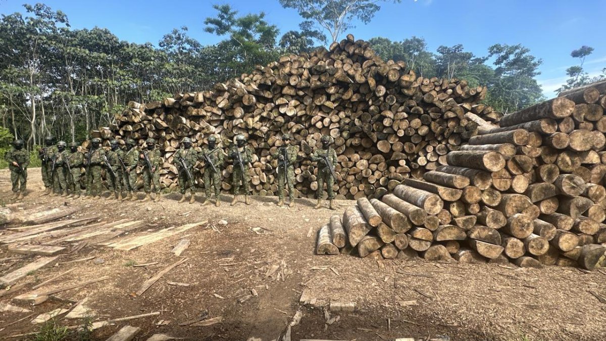 Fuerzas Armadas y ARCOM destruyeron maquinaria usada en tala ilegal en Sucúa, Morona Santiago