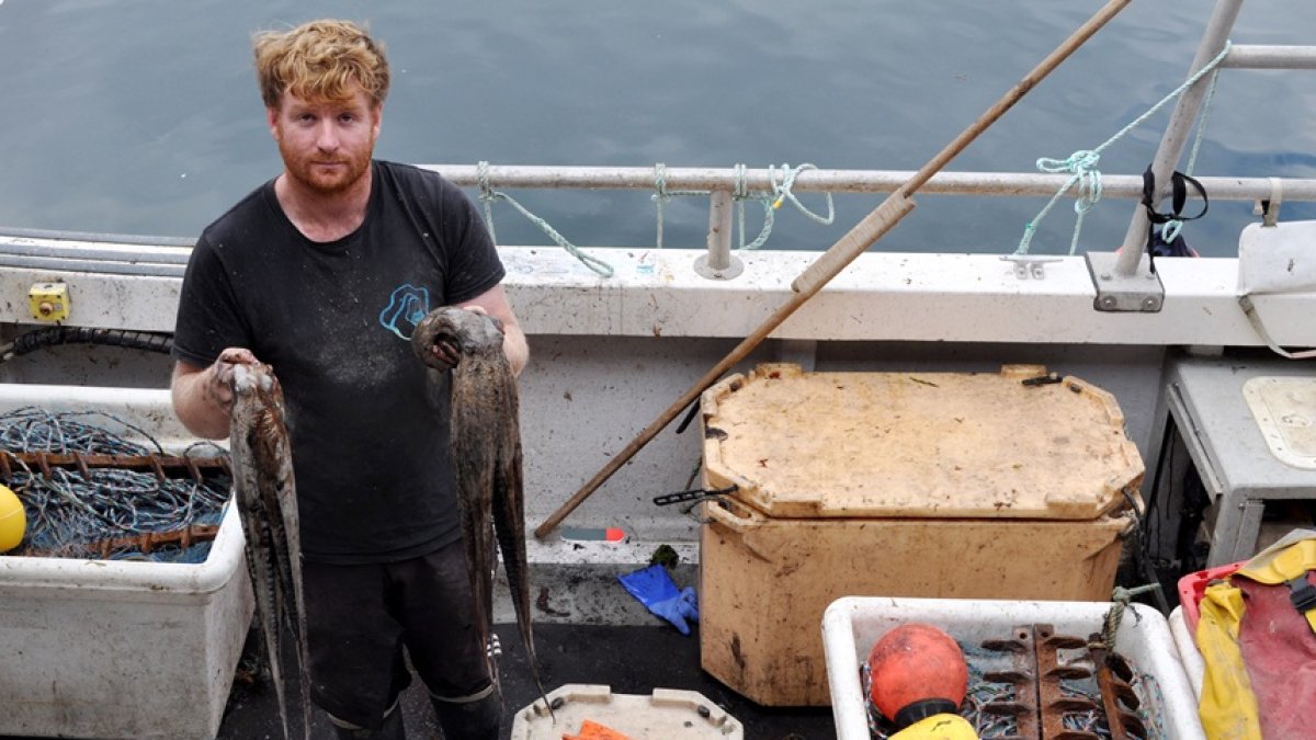 El pescador Chris Kelly, de 32 años, que utiliza redes para sus capturas, posa con un pulpo capturado a bordo de su barco 