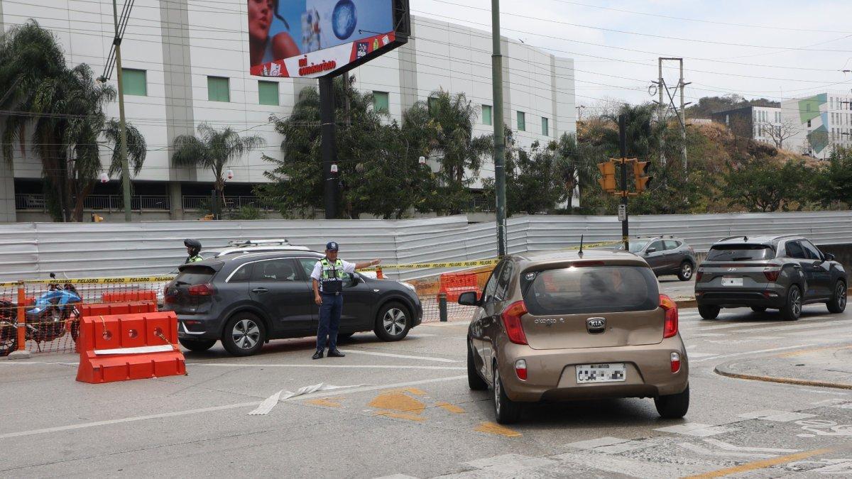 El colectivo Acción Los Ceibos denuncia que decenas de árboles están sin mantenimiento desde que se colocó el cerramiento metálico en la avenida del Bombero.