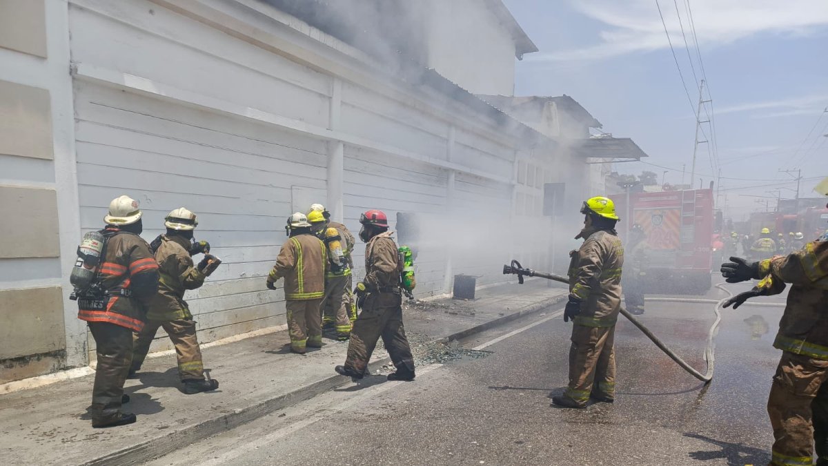 El flagelo consumió plásticos almacenados.