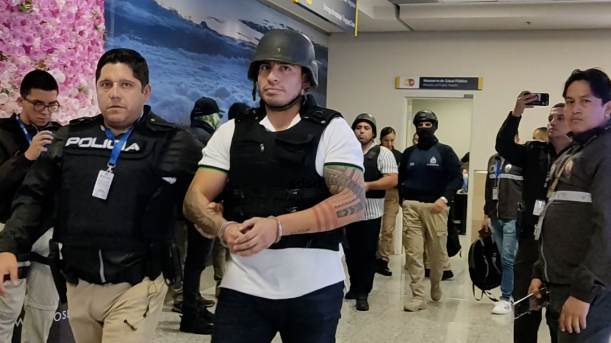 El testigo protegido afirma que Serrano gestionó un encuentro con el hermano de Petro para solicitar asilo político para Daniel Salcedo.