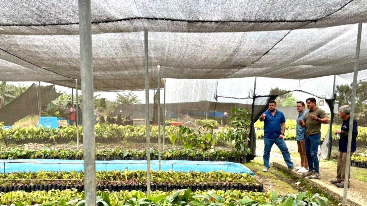 Banco Central de Ecuador estima crecimiento del PIB en un 3,8% en 2025: ¿Qué implica?