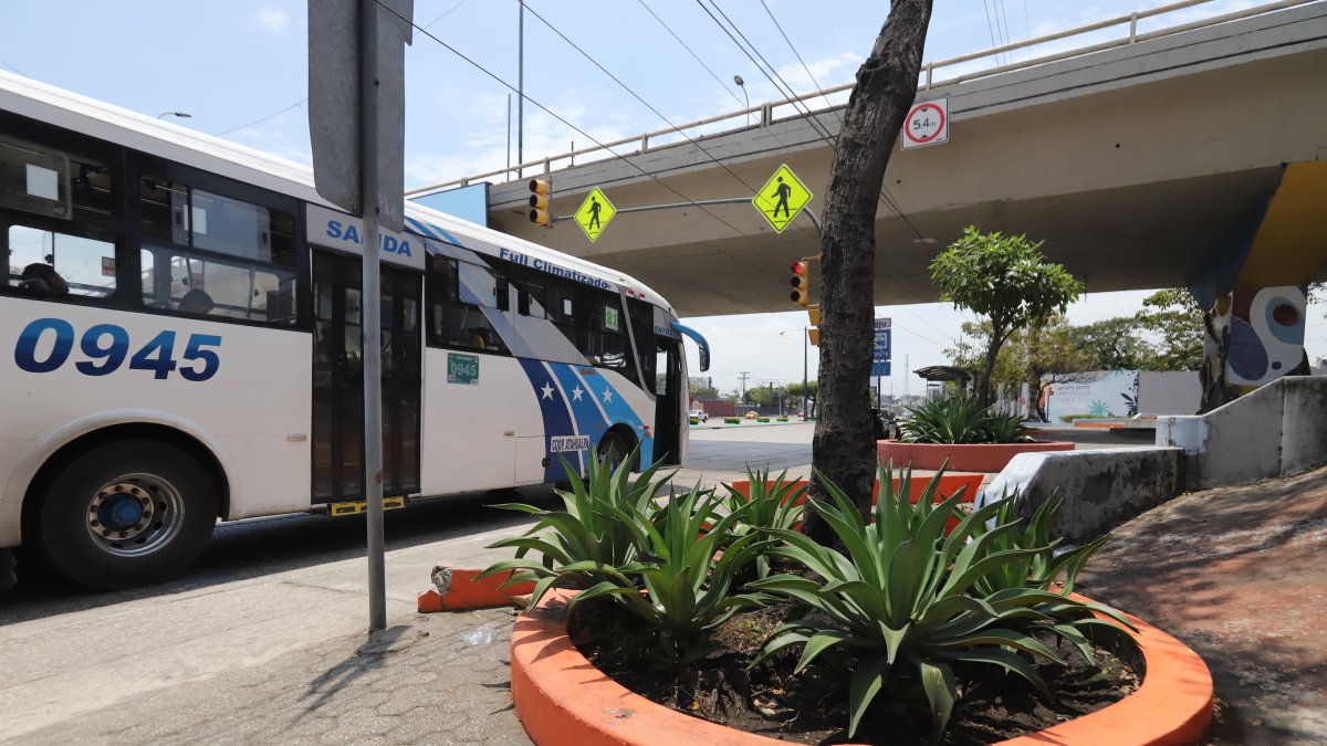 En esta jardinera de Juan Tanca Marengo y Las Aguas fue uno de los puntos donde el Municipio de Guayaquil retiró las rejas.