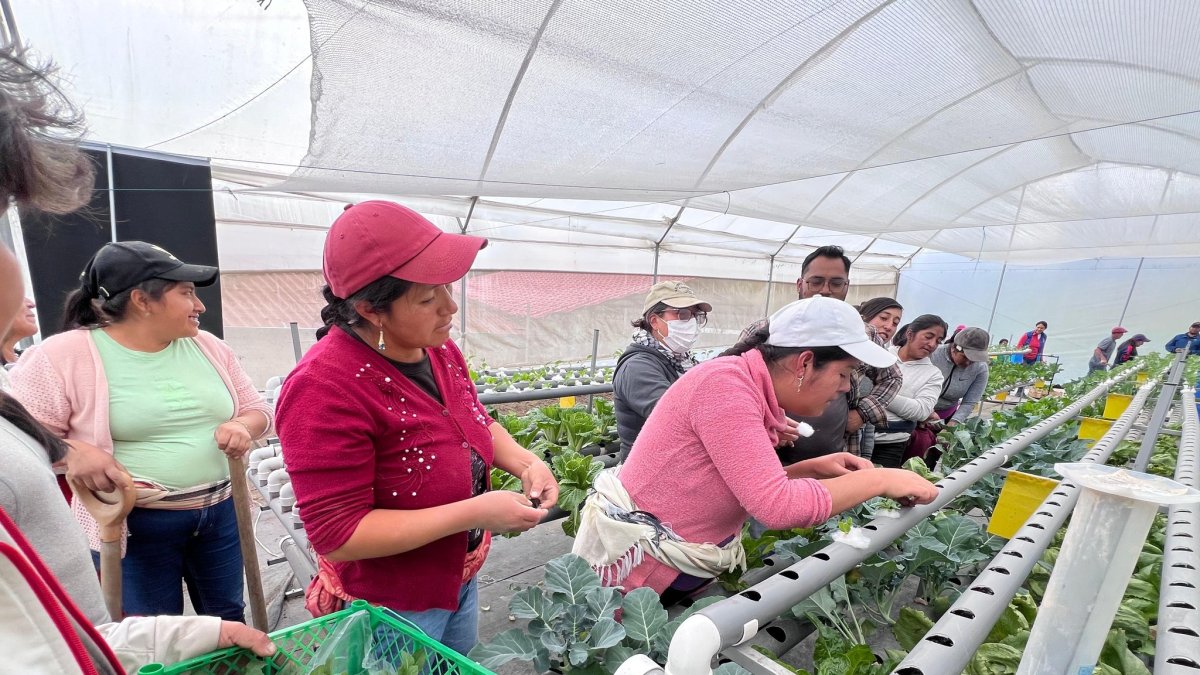 Propuestas de mejora al Bono Raíces: expertos opinan sobre su implementación.