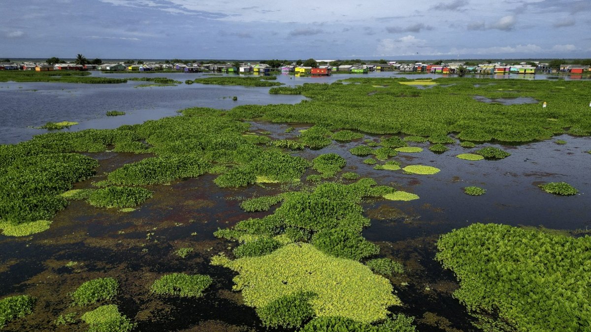 Vista aérea del pueblo de Nueva Venecia, en la Ciénaga Grande de Santa Marta, al norte de Colombia, el 6 de septiembre de 2025.