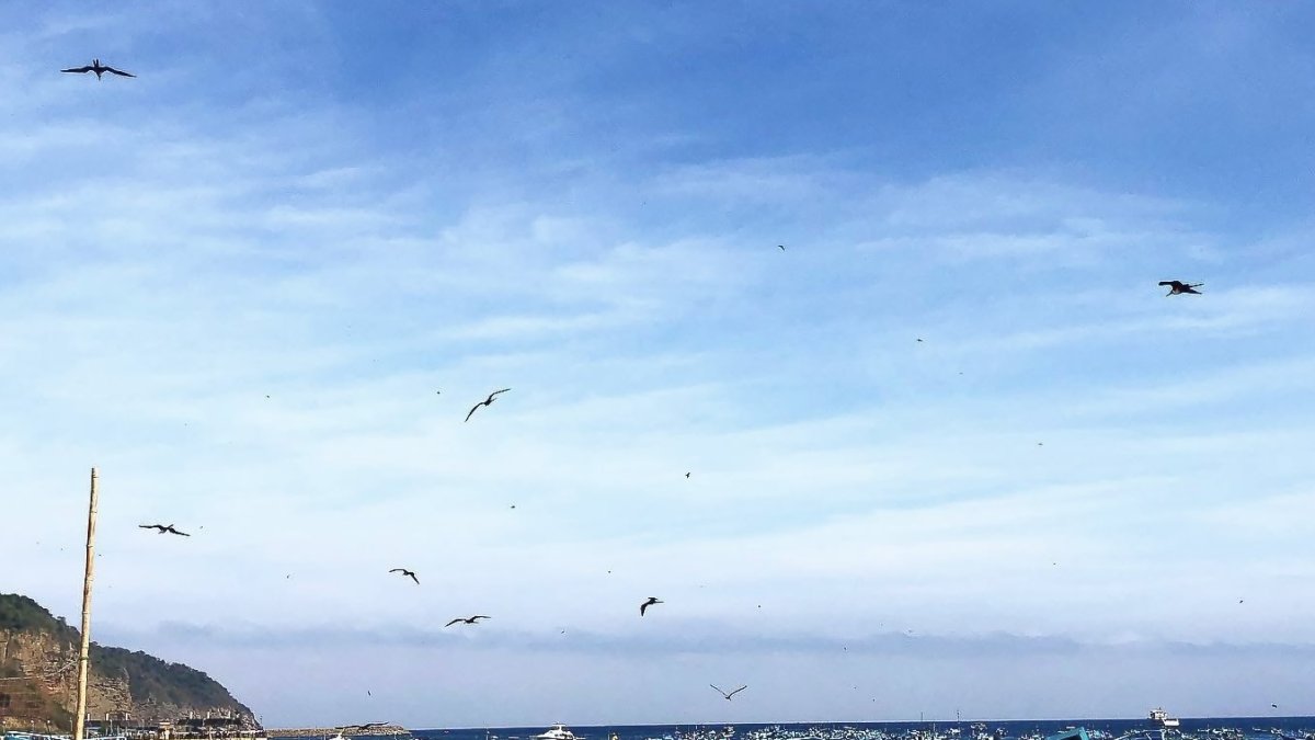 Desde el 5 de septiembre de 2025, en Puerto López se ha presentado un enjambre sísmico.