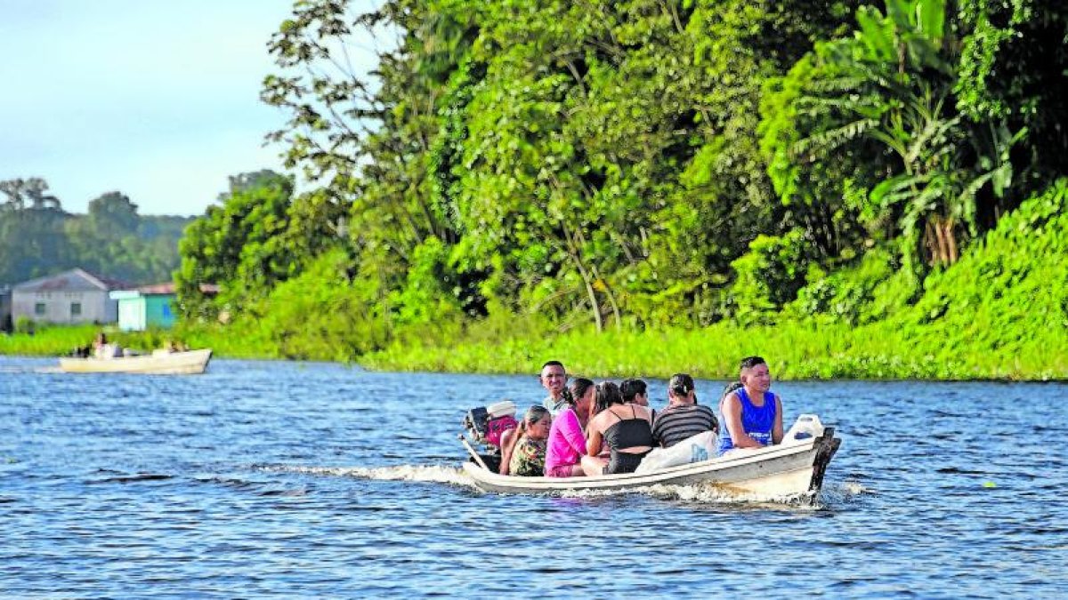 Oriente. Los bosques protegen a las comunidades de enfermedades.