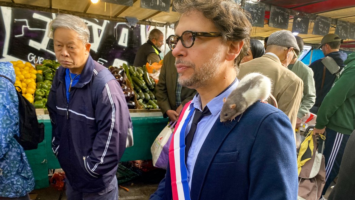 Vicealcalde. La rata ‘Plume’ se posa sobre el hombro de Gregory Moreau.