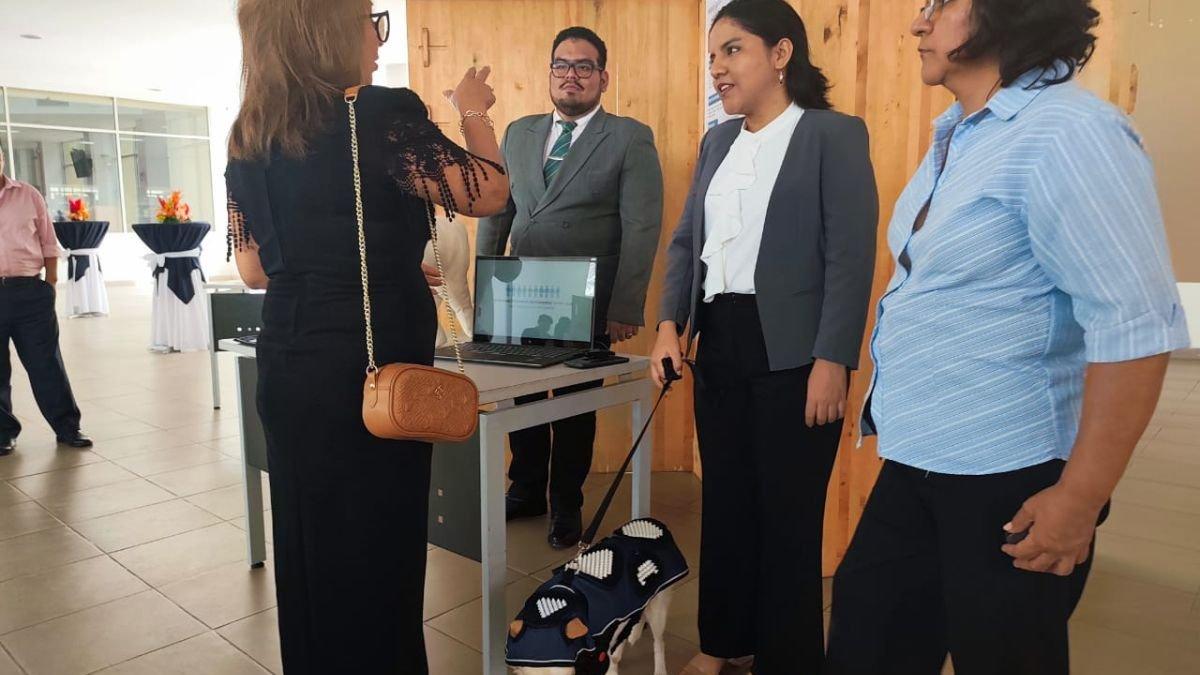 Con un costo accesible y producción local, el chaleco creado por los jóvenes diseñadores combina innovación, sostenibilidad y sensibilidad social.