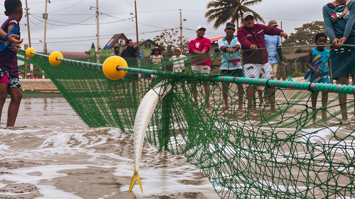 Los visitantes participaron del jale de la red, convirtiéndose en parte activa de la tradición.