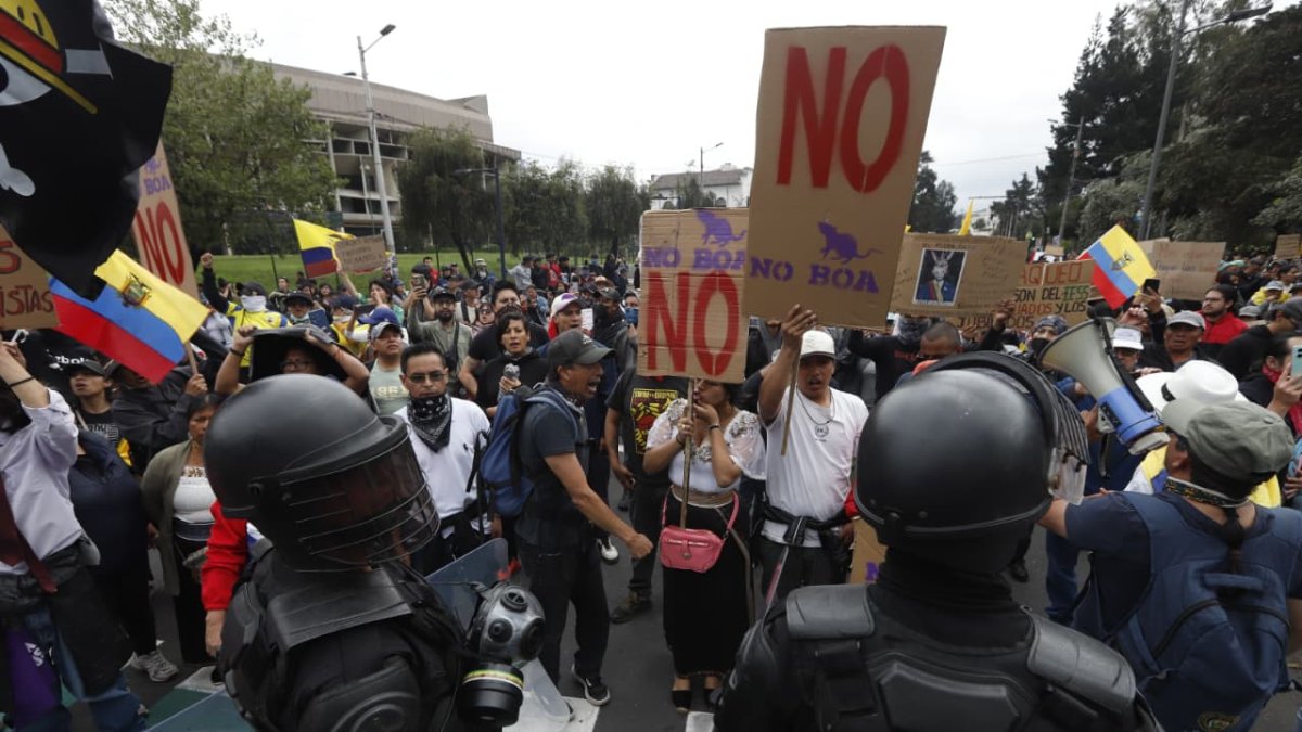 Manifestantes llegaron este domingo 12 de octubre de 2025 al parque El Arbolito, en el centro norte de Quito.