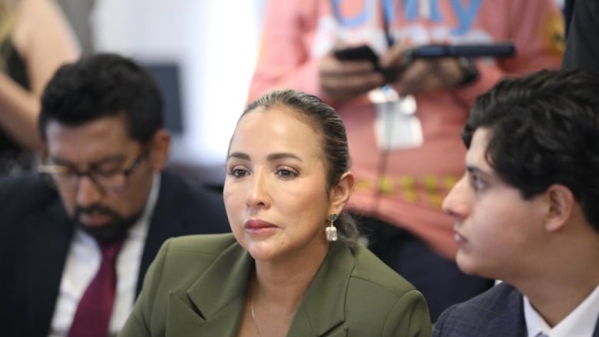 La asambleísta Yadira Bayas fue cuestionada por aparecer con una imagen estática durante una sesión virtual de la Comisión de Biodiversidad, lo que generó una queja formal dentro de su propia bancada.