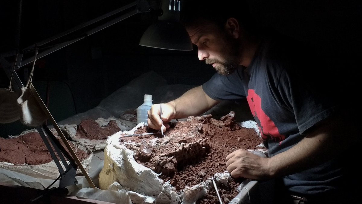 Hallan uno de los dinosaurios más antiguos del mundo en Argentina.