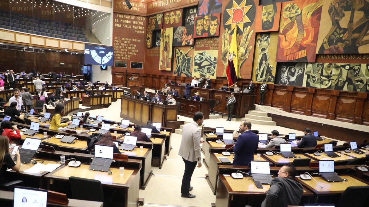 La Asamblea Constituyente estará conformada de 80 asambleístas.